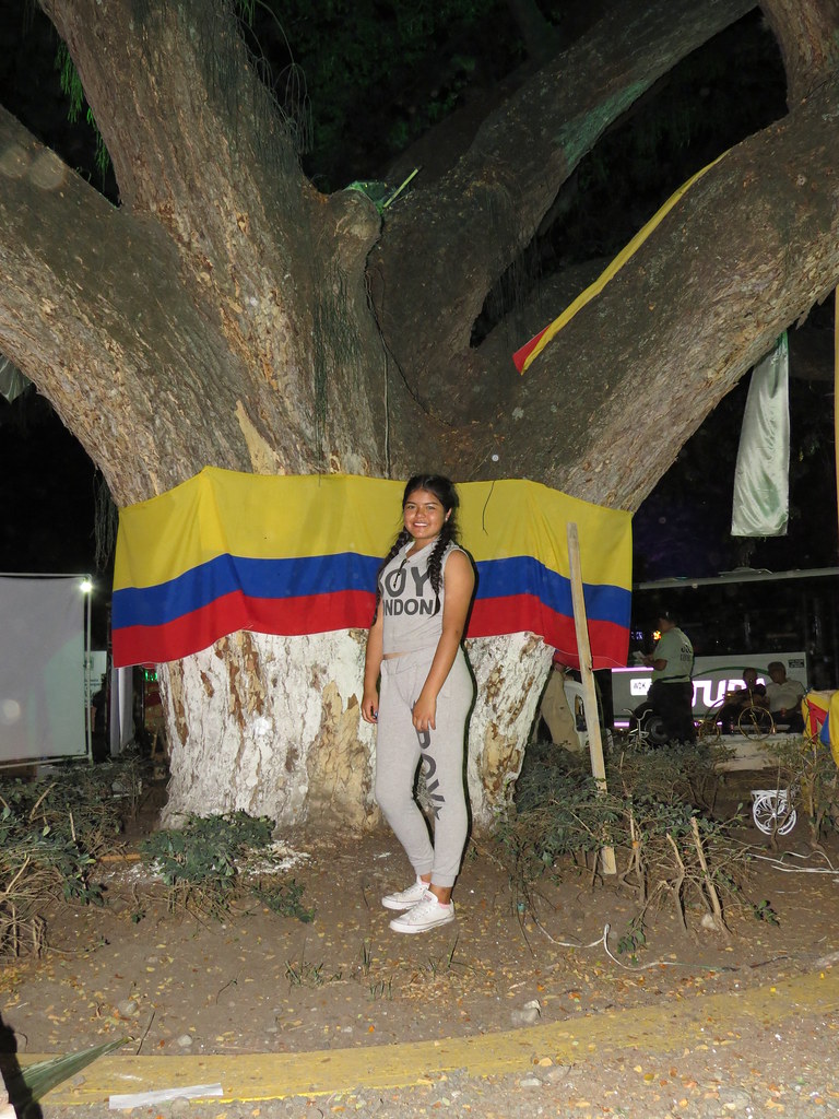 img 0029 28455080363 l.jpg