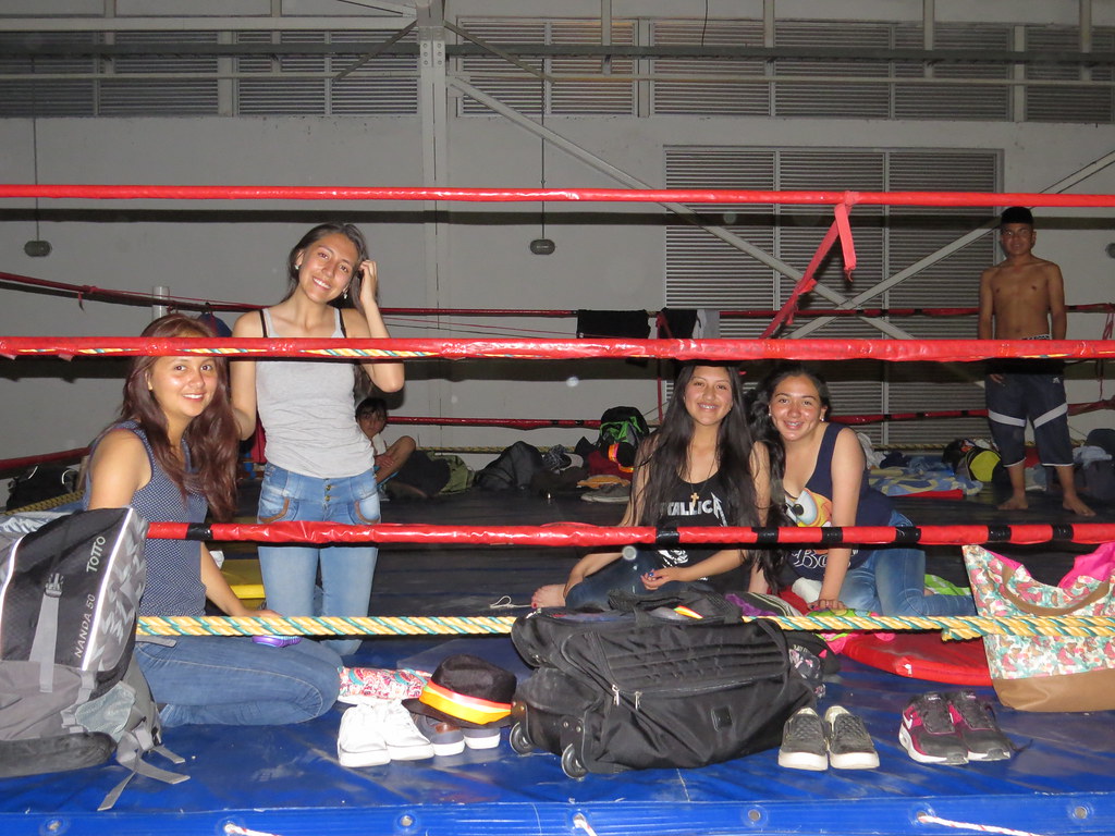 img 0036 28786482200 l.jpg