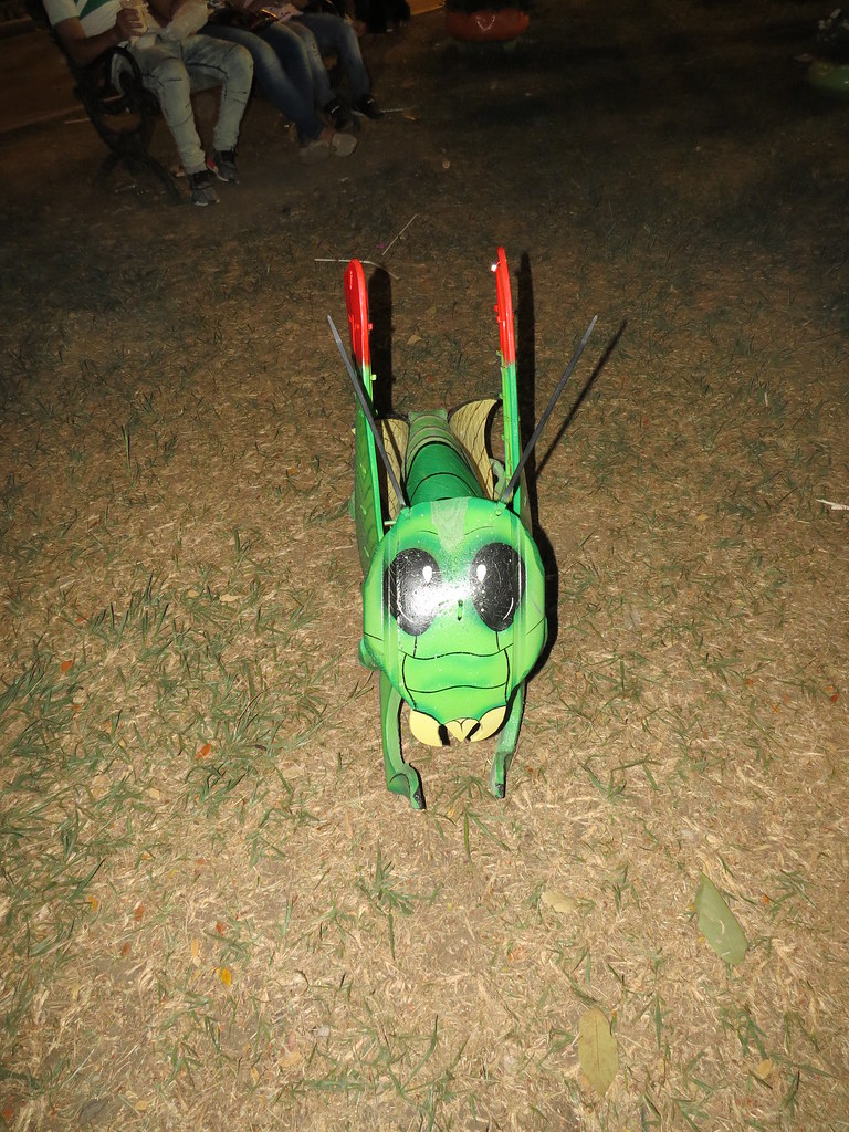 img 0129 28996255041 l.jpg