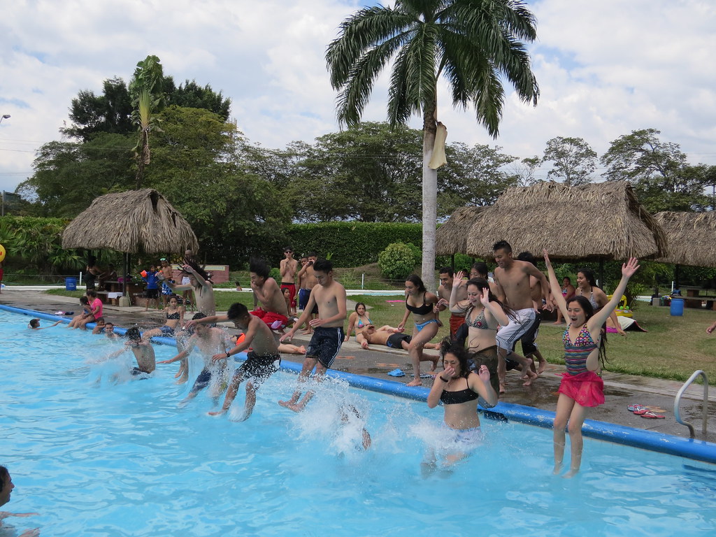 img 0246 28454806213 l.jpg