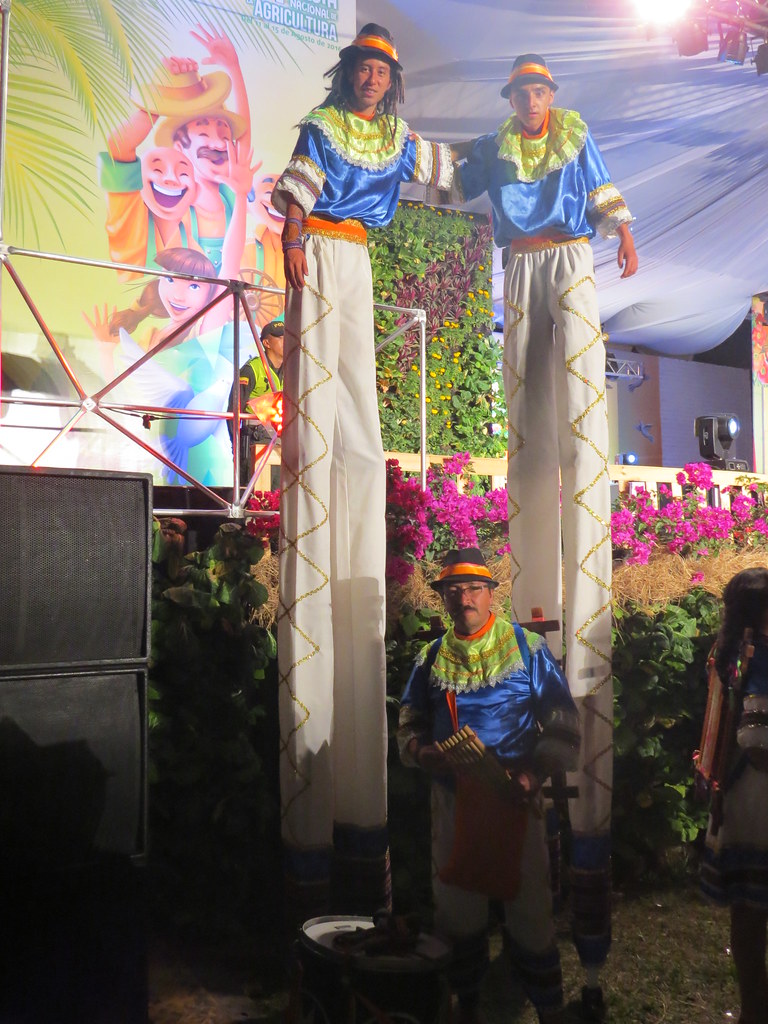 img 0418 28995866331 l.jpg