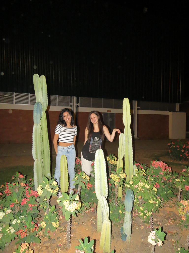 img 0421 28995863881 l.jpg