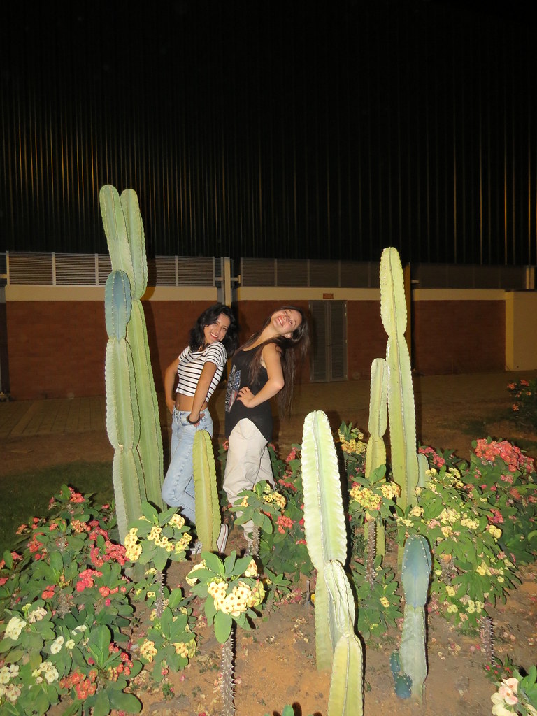 img 0422 28995861971 l.jpg