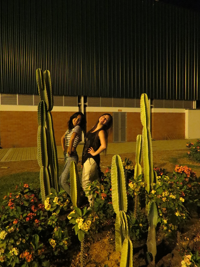 img 0423 28995857431 l.jpg