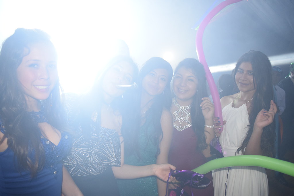 dsc 0877 30321829744 l.jpg